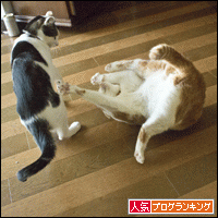 人気ブログランキングへ
